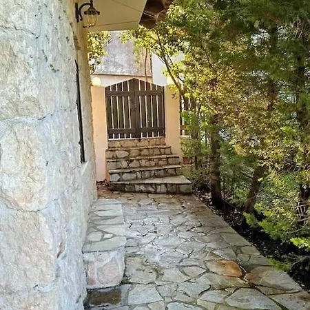 House In The Forest Pisia Extérieur photo