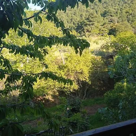 House In The Forest Pisia Extérieur photo