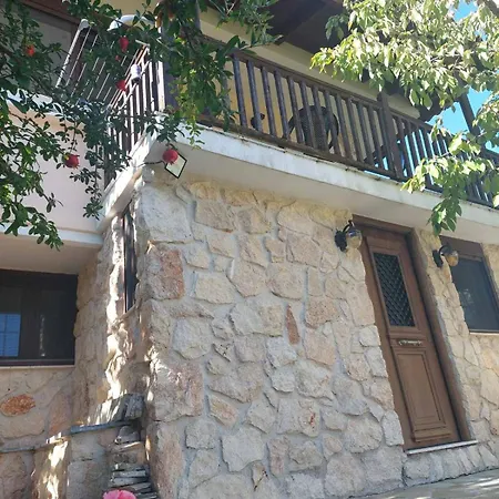 House In The Forest Pisia Extérieur photo