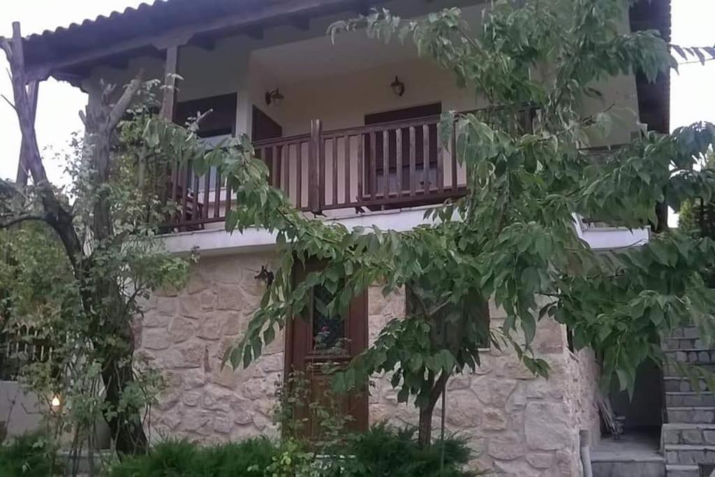 Hébergement de vacances House In The Forest *