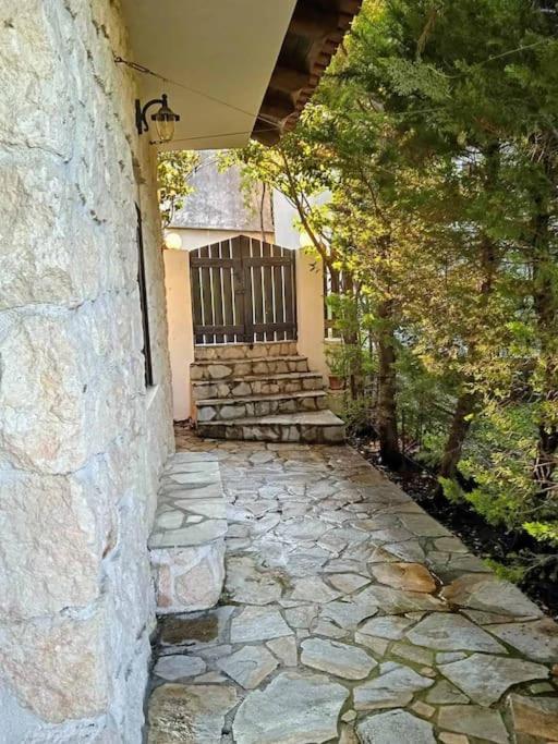 Tatil Evi House In The Forest Pisia