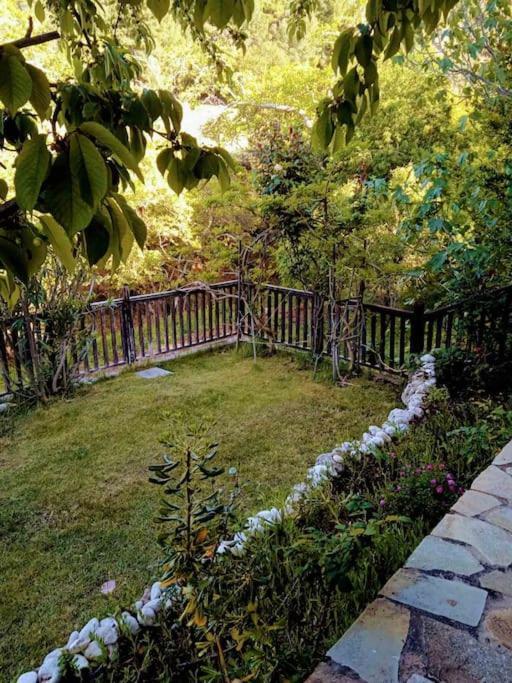 Tatil Evi House In The Forest