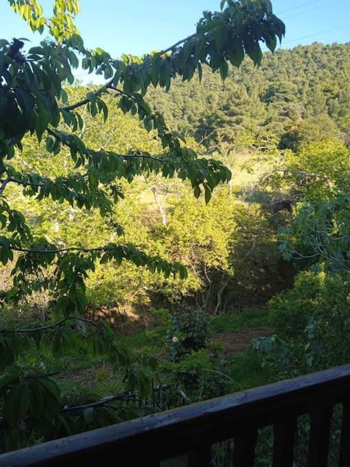 House In The Forest Hébergement de vacances Pisia