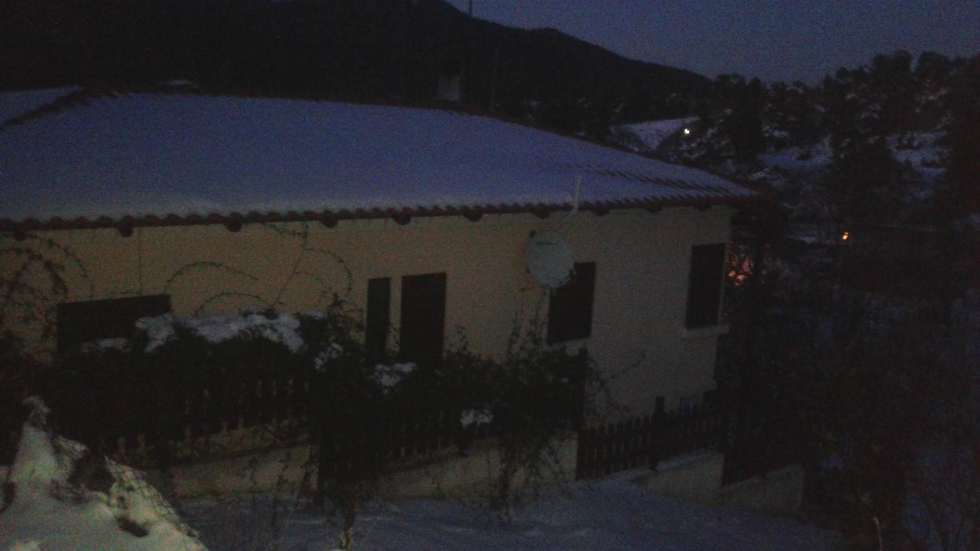 House In The Forest * Pisia